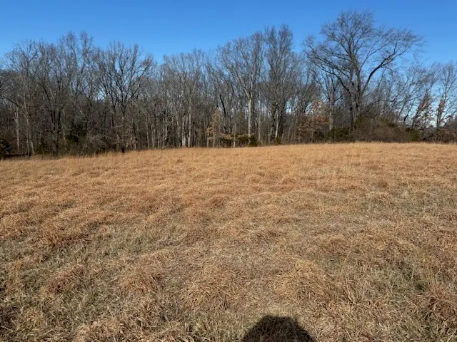 $106,875 | 0 North Harmony Lane, Mount Vernon, IL 62864