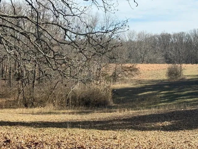 $106,875 | 0 North Harmony Lane, Mount Vernon, IL 62864