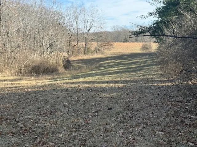 $106,875 | 0 North Harmony Lane, Mount Vernon, IL 62864