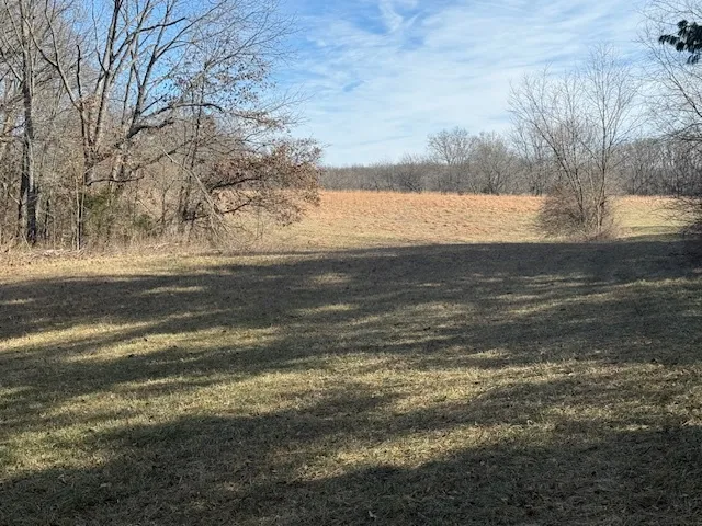 $106,875 | 0 North Harmony Lane, Mount Vernon, IL 62864