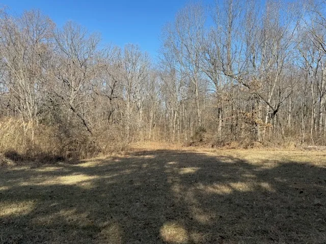 $106,875 | 0 North Harmony Lane, Mount Vernon, IL 62864