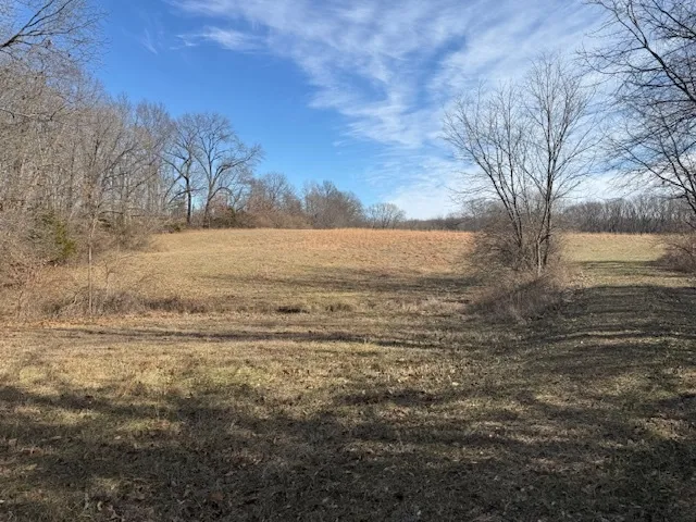 $106,875 | 0 North Harmony Lane, Mount Vernon, IL 62864