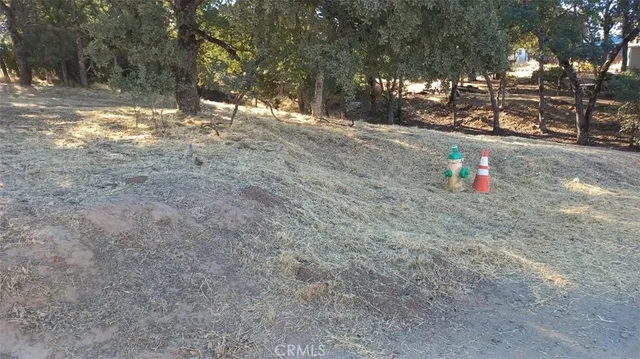 a fire hydrant in the middle of a yard