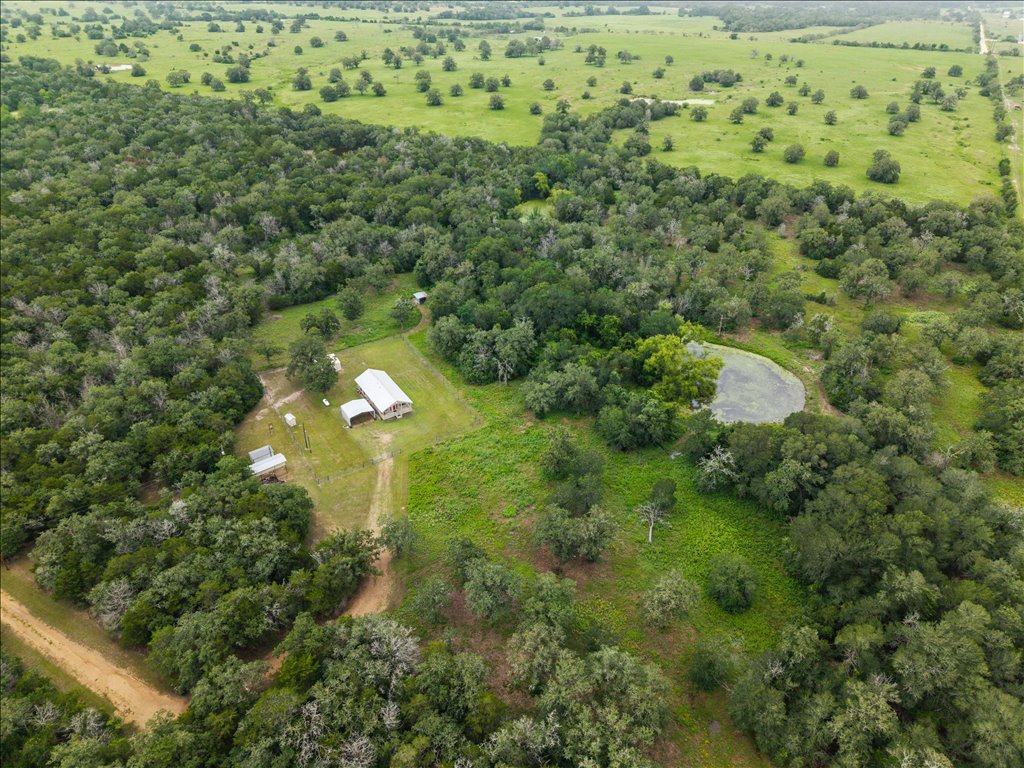 608 Whistleville Road Flatonia, TX 78941 - Photo 21 of 26 Look how much prime land you have to potentially expand on in the future. It's an absolute hidden gem!