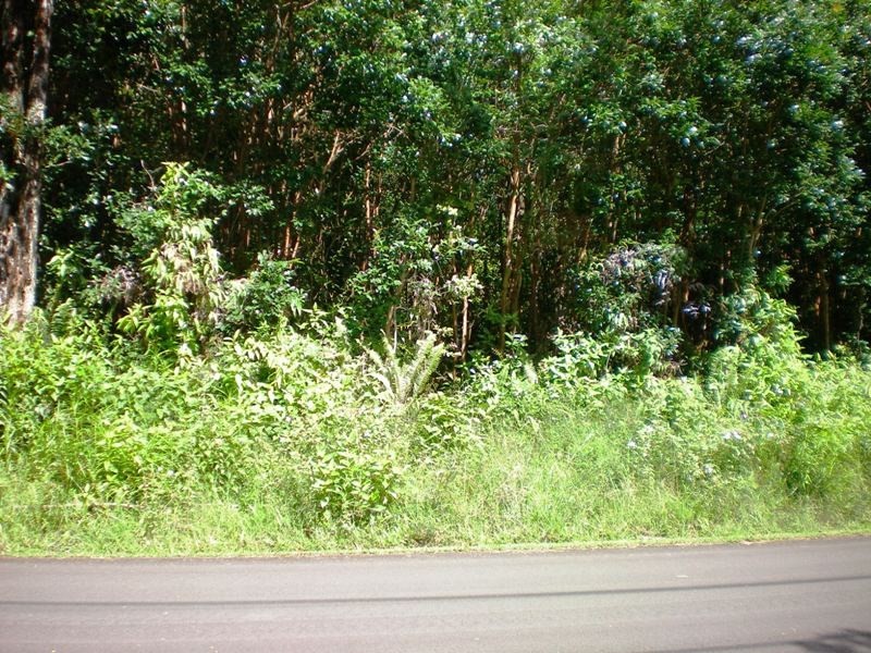 14 S Wright Road Volcano, HI 96785 - Photo 2 of 2 a view of a yard with plants