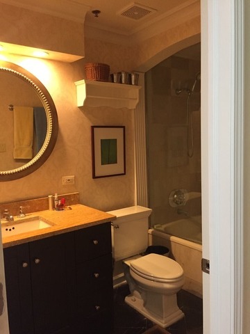 1016 West Madison Street, Unit 2S Chicago, IL 60607 - Photo 19 of 20 a bathroom with a toilet sink vanity granite and mirror