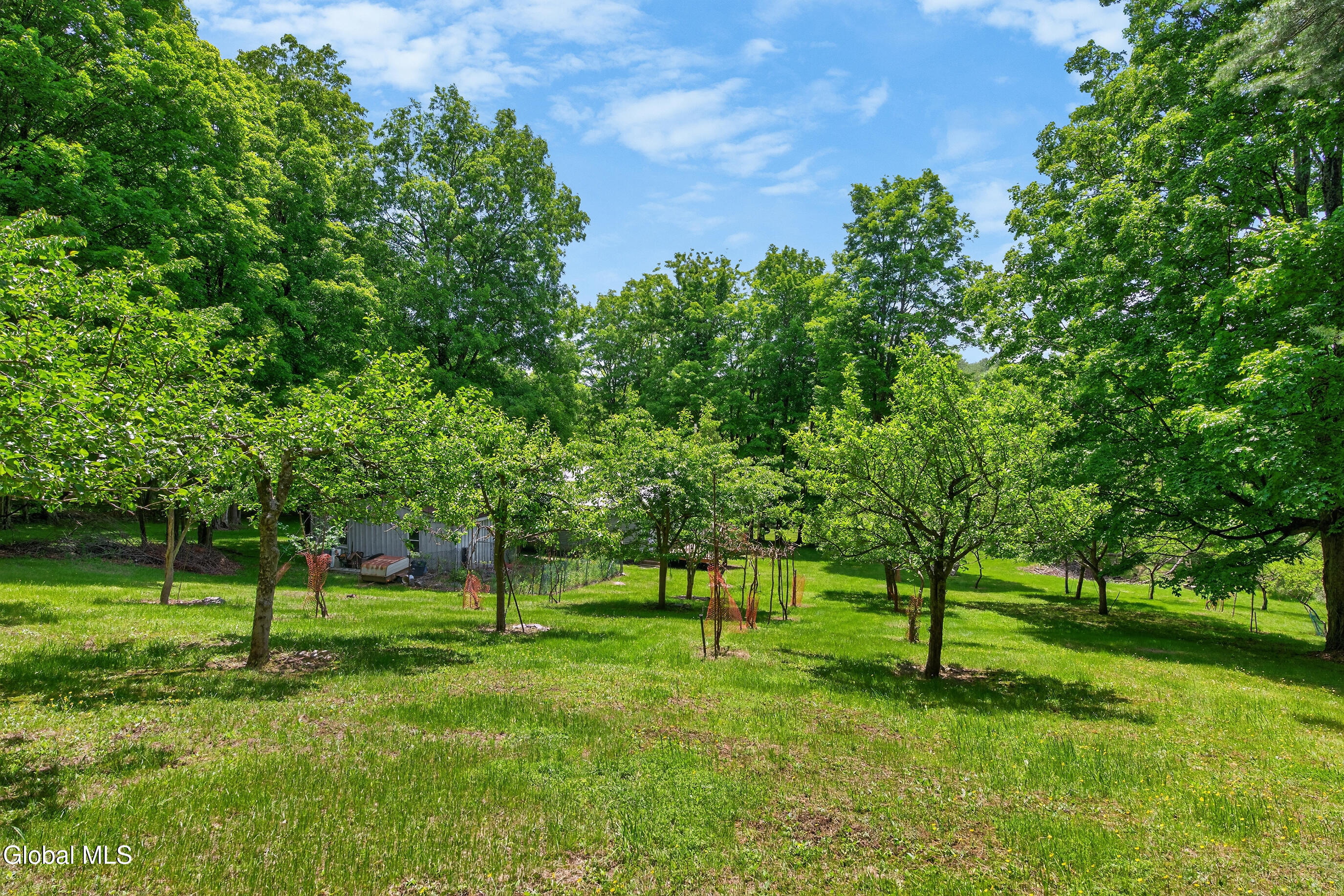 359 Seibert Road Rensselaerville, NY 12120 - Photo 50 of 67 018-359-Seibert-Road-Medusa-NY-12120