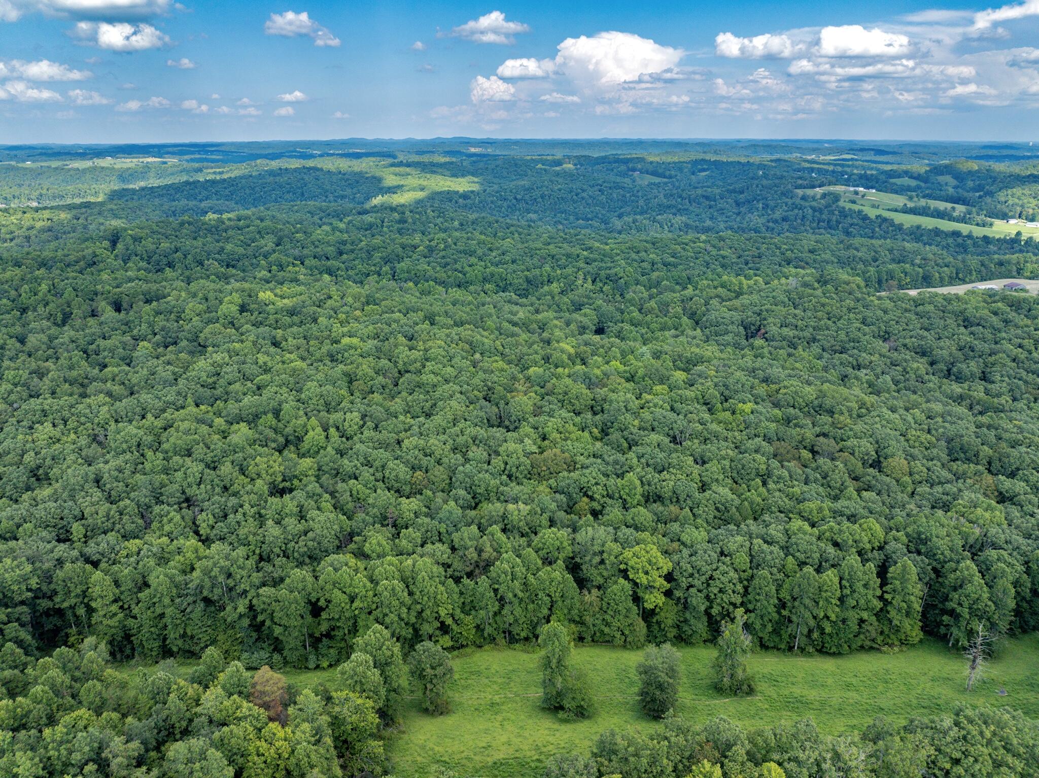 1195 Hoop Road Wellington, KY 40387 - Photo 59 of 68 DJI_0358-Enhanced-SR
