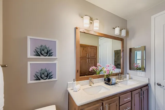 a view of a yard with plants and large trees