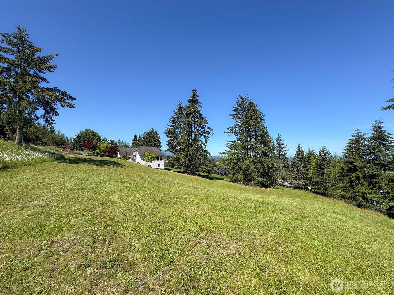 1 Owls Nest Road Sequim, WA 98382 - Photo 27 of 31 a view of a field with trees in the background