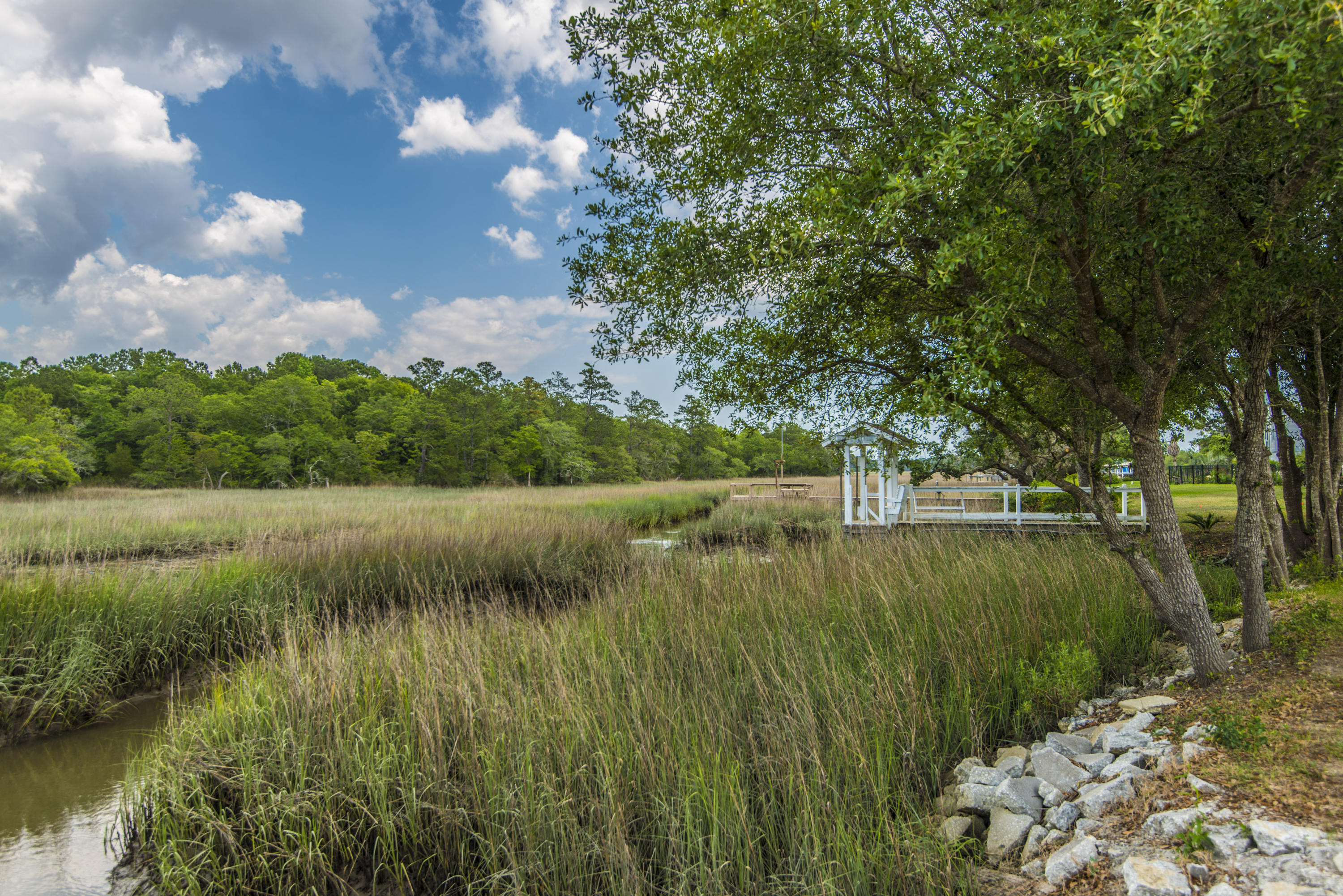 311 Jamesbury Road Wando, SC 29492 - Photo 16 of 67 _DSC9491