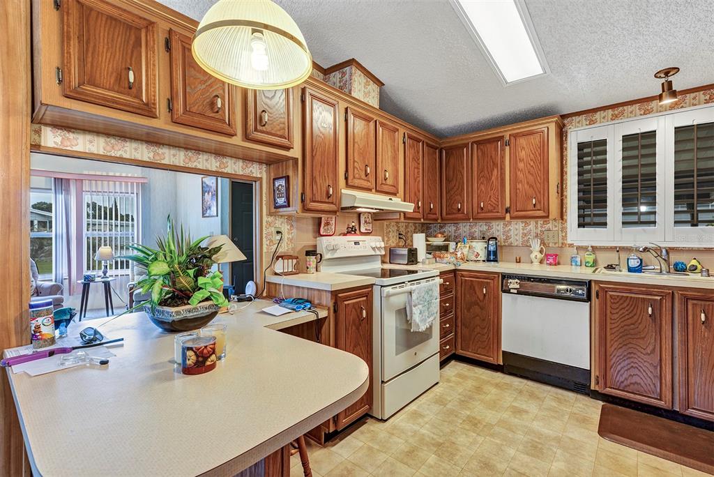 3033 Myakka River Road Tavares, FL 32778 - Photo 13 of 55