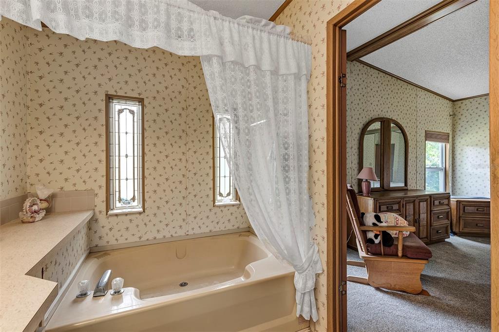 3033 Myakka River Road Tavares, FL 32778 - Photo 26 of 55