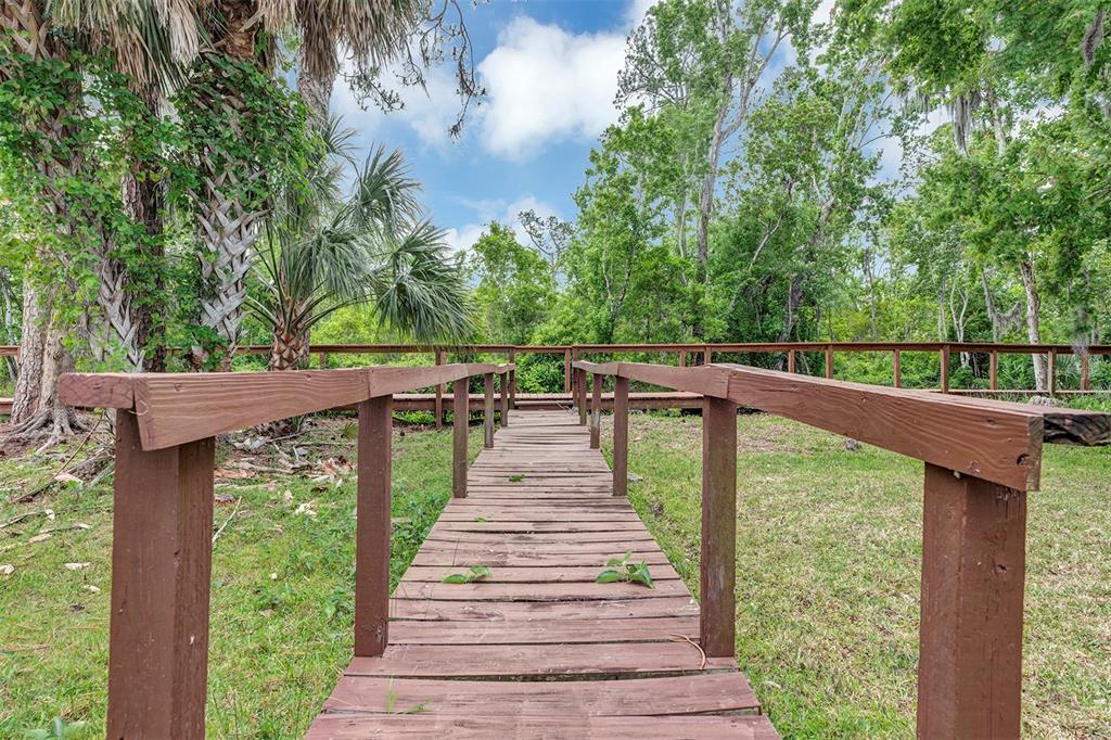 3033 Myakka River Road Tavares, FL 32778 - Photo 31 of 55