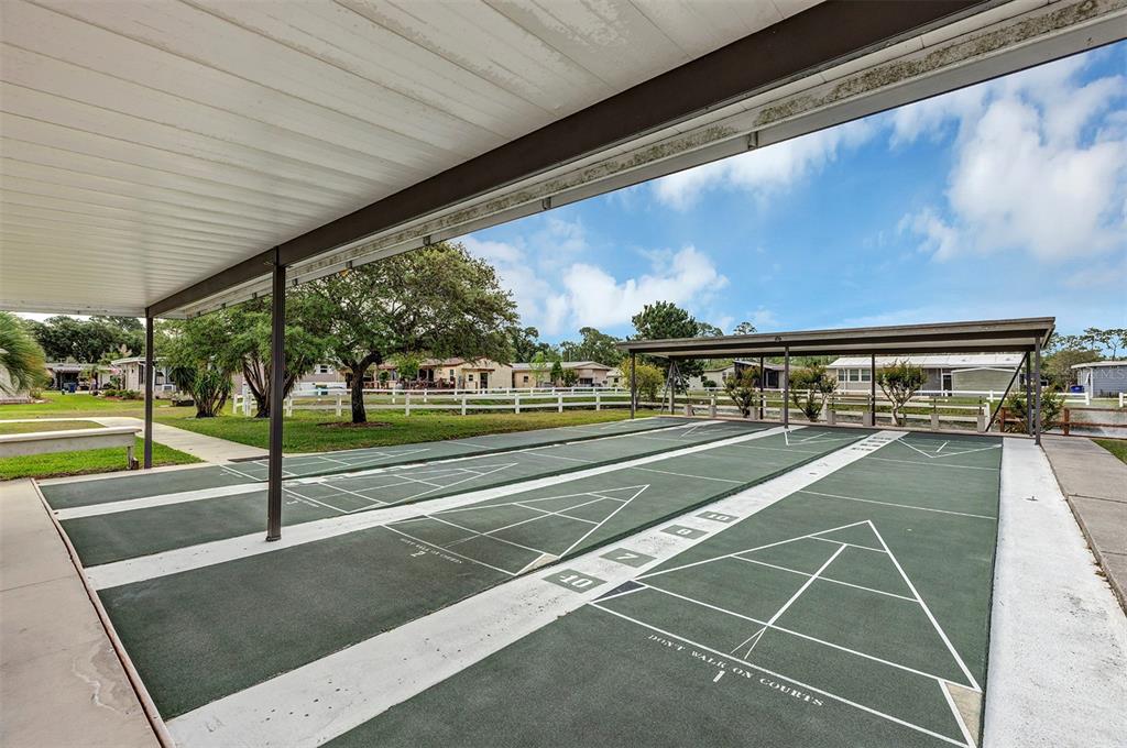 3033 Myakka River Road Tavares, FL 32778 - Photo 42 of 55