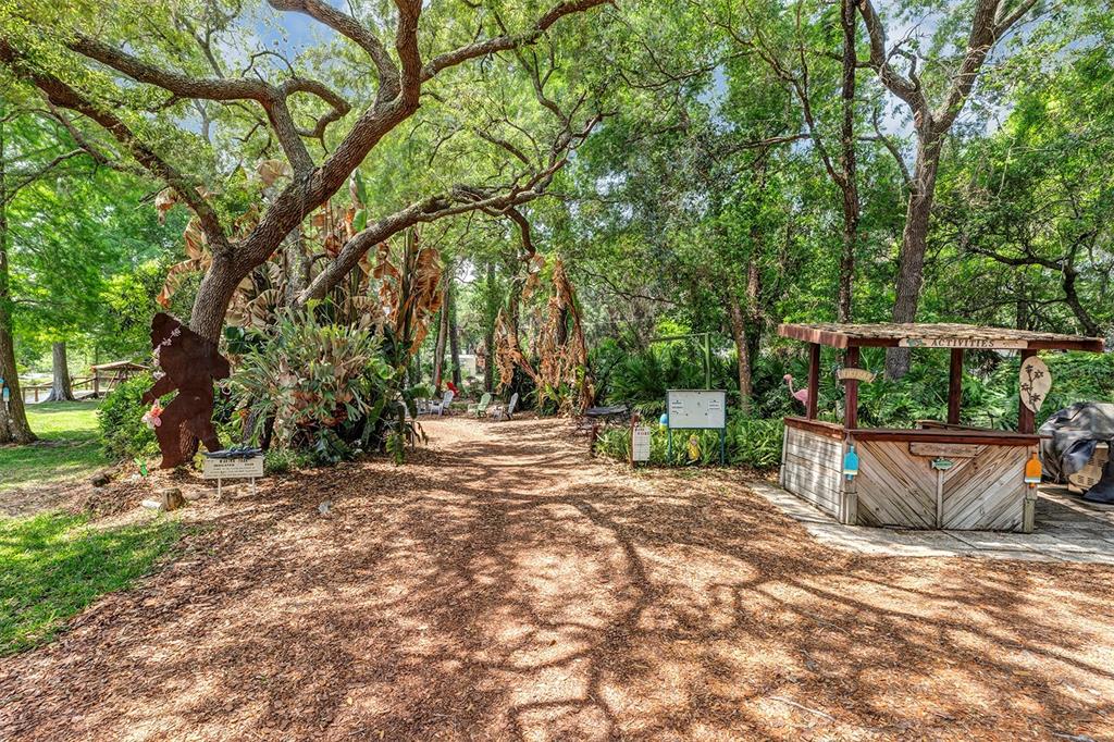 3033 Myakka River Road Tavares, FL 32778 - Photo 46 of 55