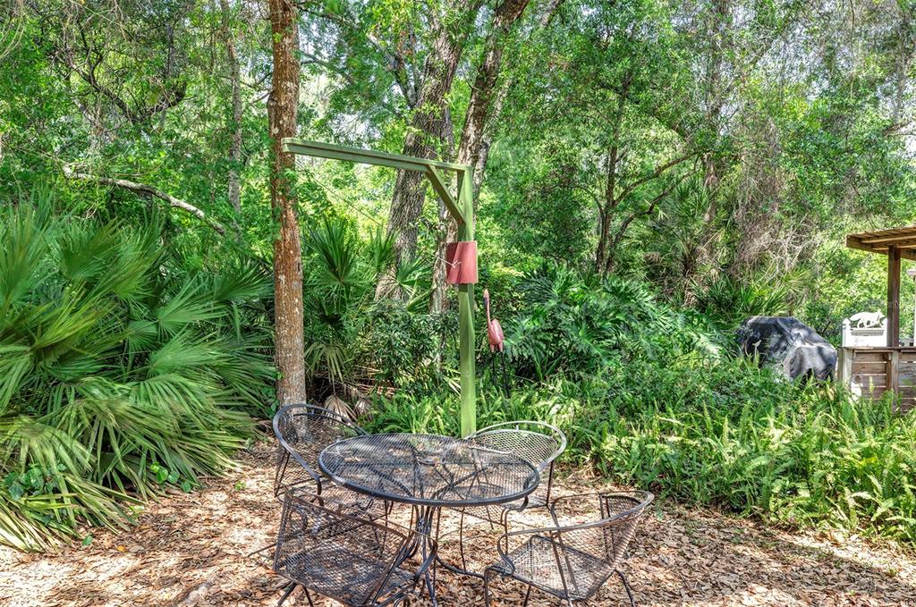 3033 Myakka River Road Tavares, FL 32778 - Photo 51 of 55