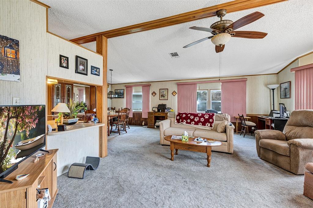 3033 Myakka River Road Tavares, FL 32778 - Photo 8 of 55