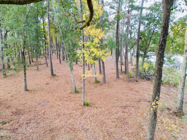 $1,200,000 | 565 Robert Smalls Parkway, Beaufort, SC 29906