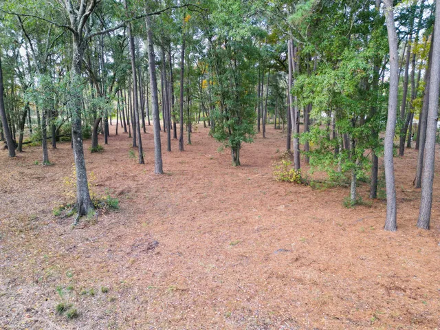 $1,200,000 | 565 Robert Smalls Parkway, Beaufort, SC 29906