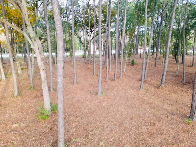 $1,200,000 | 565 Robert Smalls Parkway, Beaufort, SC 29906