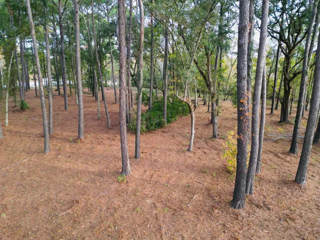 $1,200,000 | 565 Robert Smalls Parkway, Beaufort, SC 29906