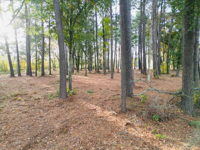 $1,200,000 | 565 Robert Smalls Parkway, Beaufort, SC 29906