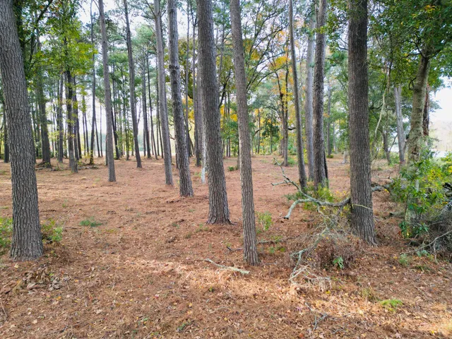 $1,200,000 | 565 Robert Smalls Parkway, Beaufort, SC 29906