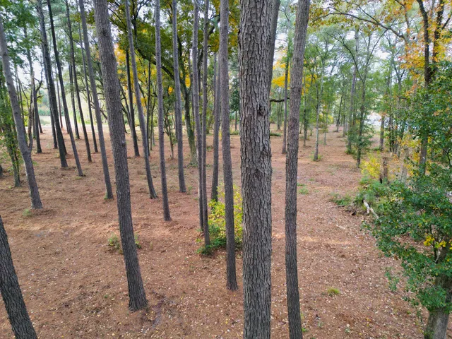 $1,200,000 | 565 Robert Smalls Parkway, Beaufort, SC 29906