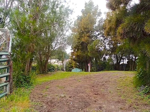 a house with trees in front of it