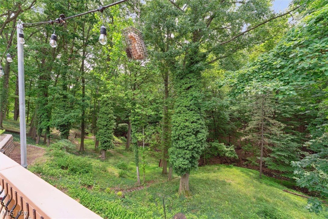 1059 Gulf Road Elyria, OH 44035 - Photo 9 of 50 View of yard