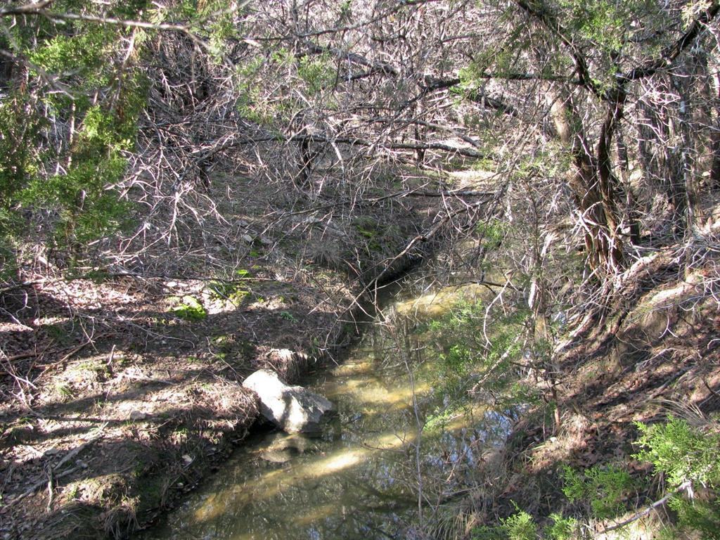 Lot 3-ph County Road 421 Evant, TX 76525 - Photo 17 of 27