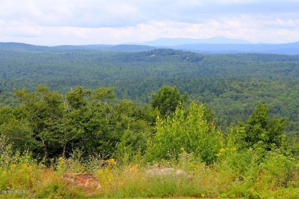 381 Leonhardt Road Becket, MA 01223 - Photo 42 of 47 a view of a lush green forest with lots of trees