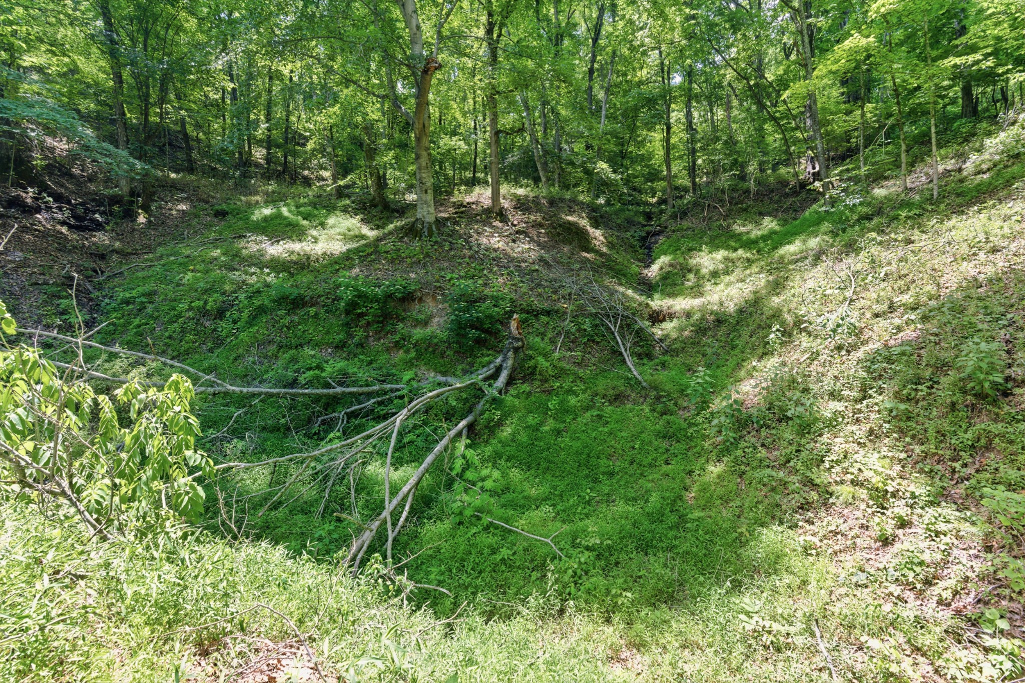 5041 Slaters Creek Access Road Goodlettsville, TN 37072 - Photo 26 of 28