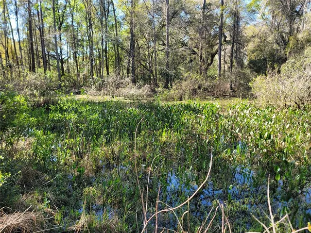 $450,000 | 10851 Southeast 195th Street, Inglis, FL 34449