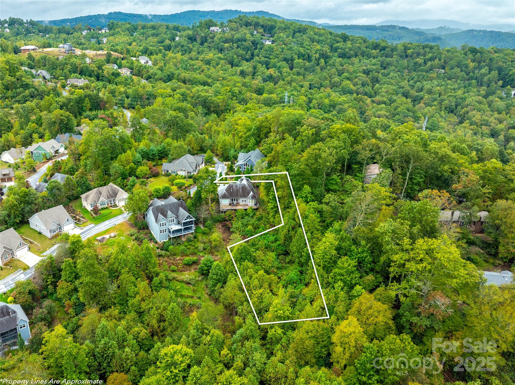 332 Millbrae Loop Hendersonville, NC 28791 - Photo 1 of 14 a view of a bunch of trees and bushes