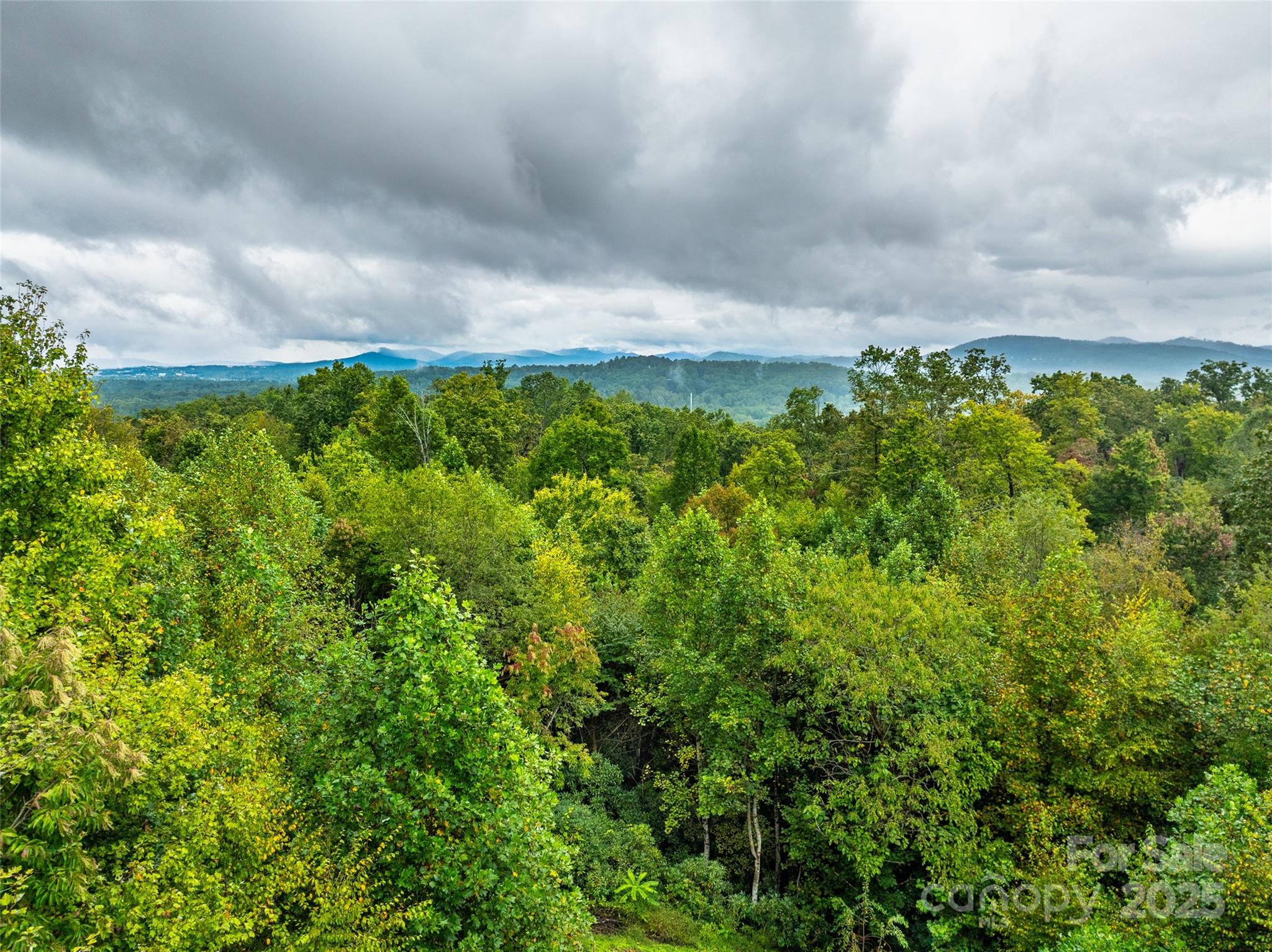 332 Millbrae Loop Hendersonville, NC 28791 - Photo 12 of 14 a backyard of a house with lots of green space