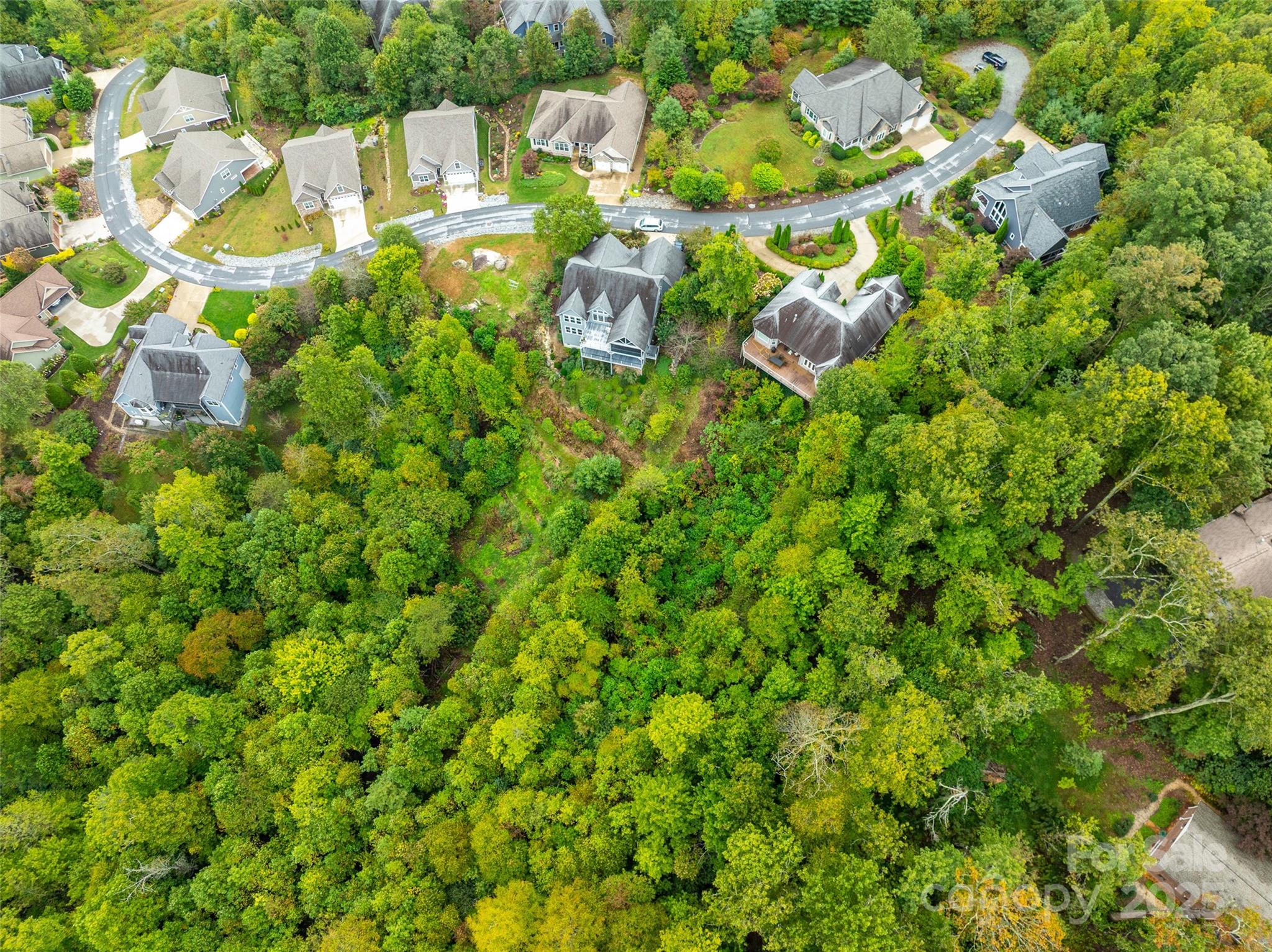 332 Millbrae Loop Hendersonville, NC 28791 - Photo 4 of 14 a close up of a white house with a yard and plants