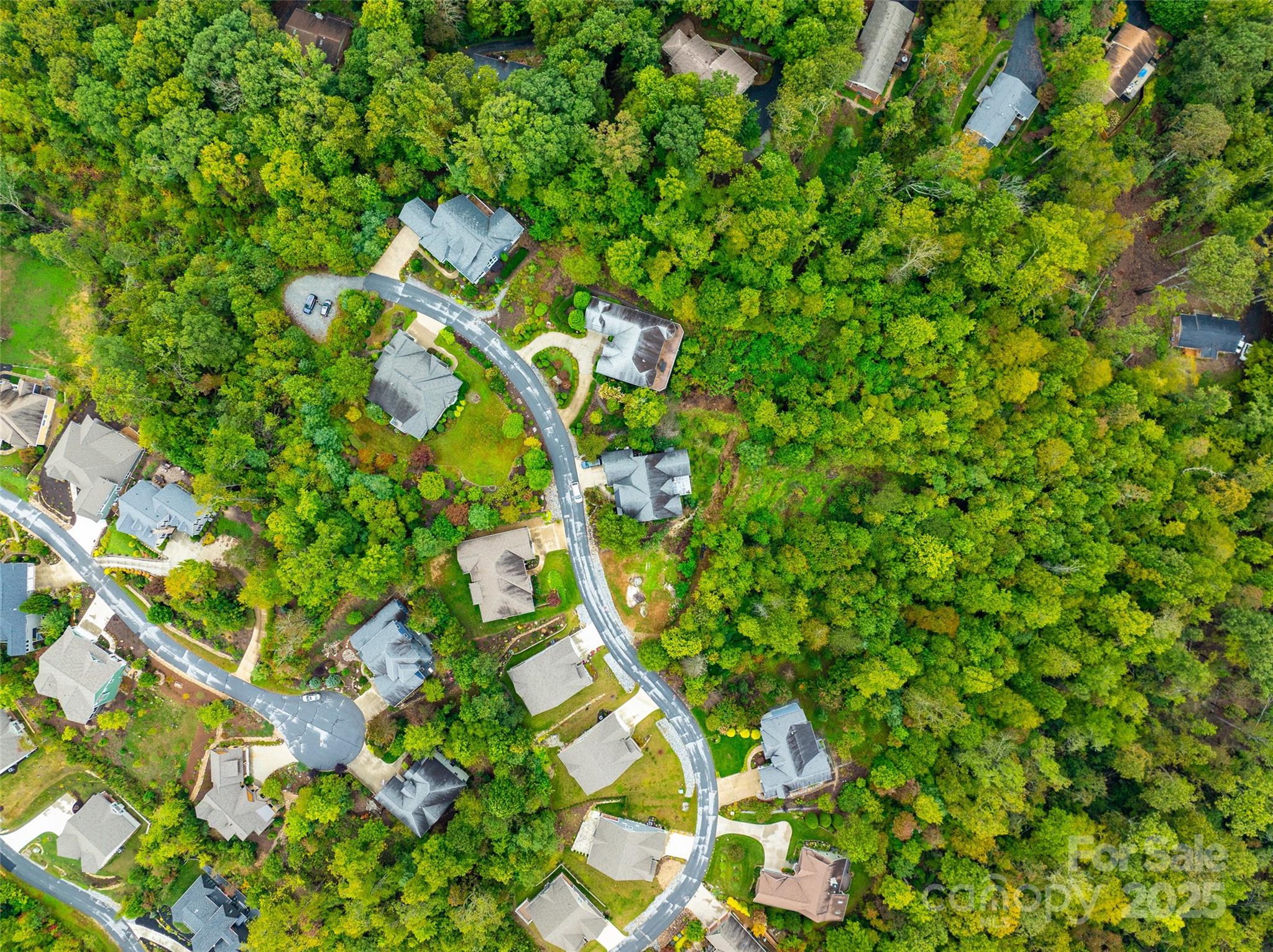 332 Millbrae Loop Hendersonville, NC 28791 - Photo 5 of 14 a view of flowers