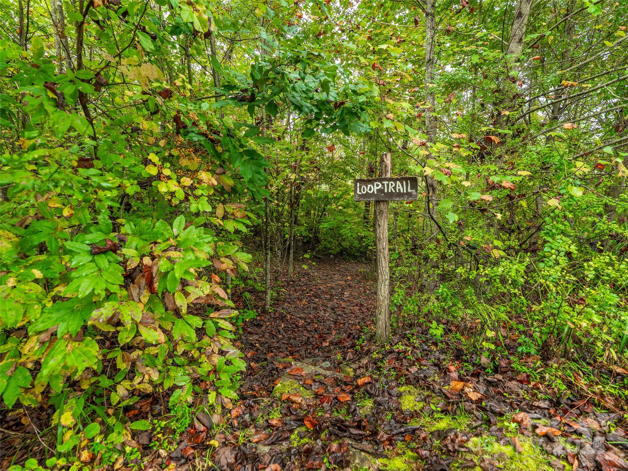 332 Millbrae Loop Hendersonville, NC 28791 - Photo 6 of 14 a backyard of a house