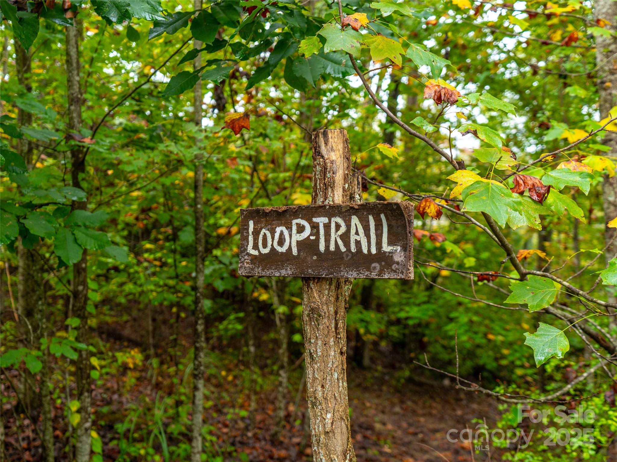 332 Millbrae Loop Hendersonville, NC 28791 - Photo 7 of 14 a sign that is sitting in a forest