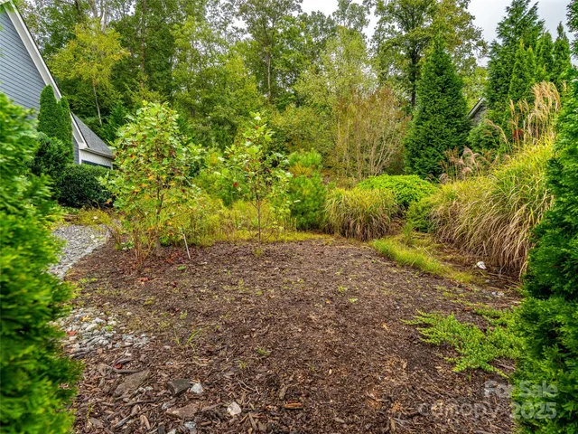 a view of a yard with a tree