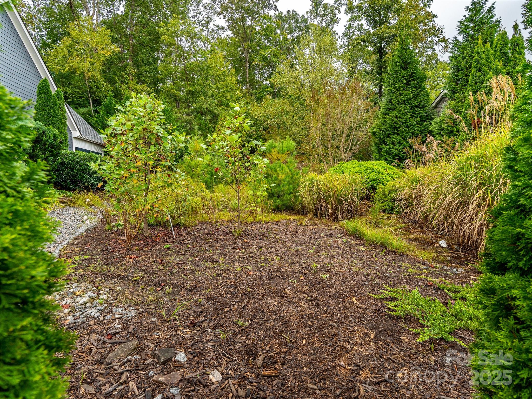 332 Millbrae Loop Hendersonville, NC 28791 - Photo 8 of 14 a view of a yard with a tree