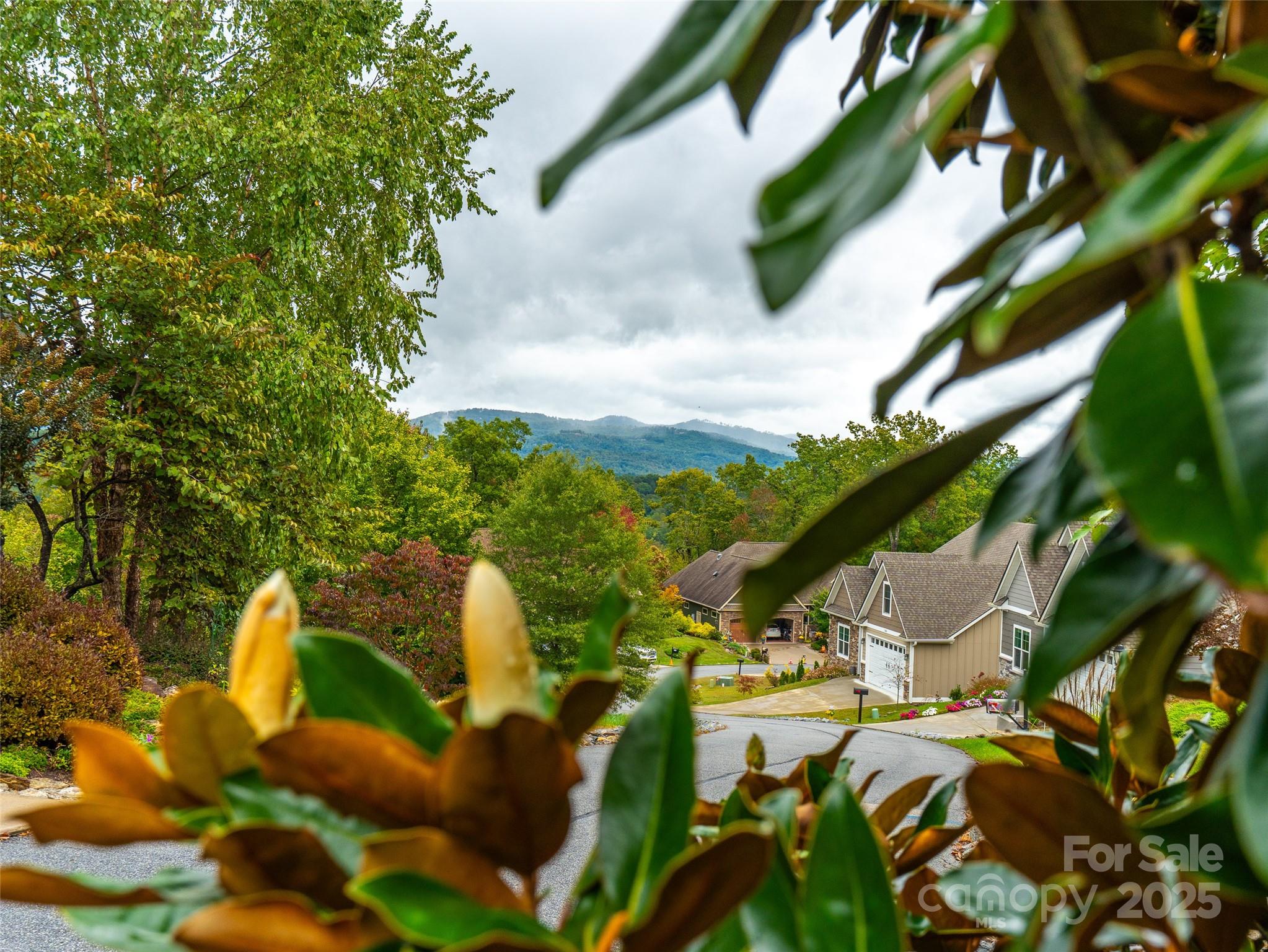332 Millbrae Loop Hendersonville, NC 28791 - Photo 9 of 14
