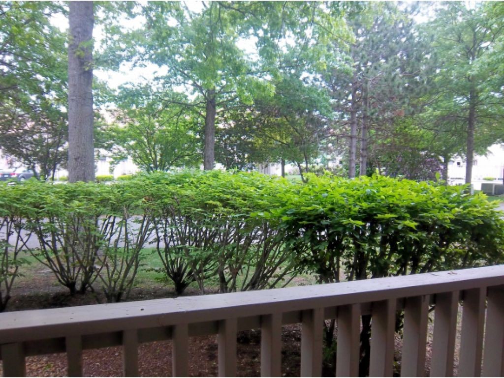 336 Intervale Road, Unit F4 Gilford, NH 03249 - Photo 26 of 35