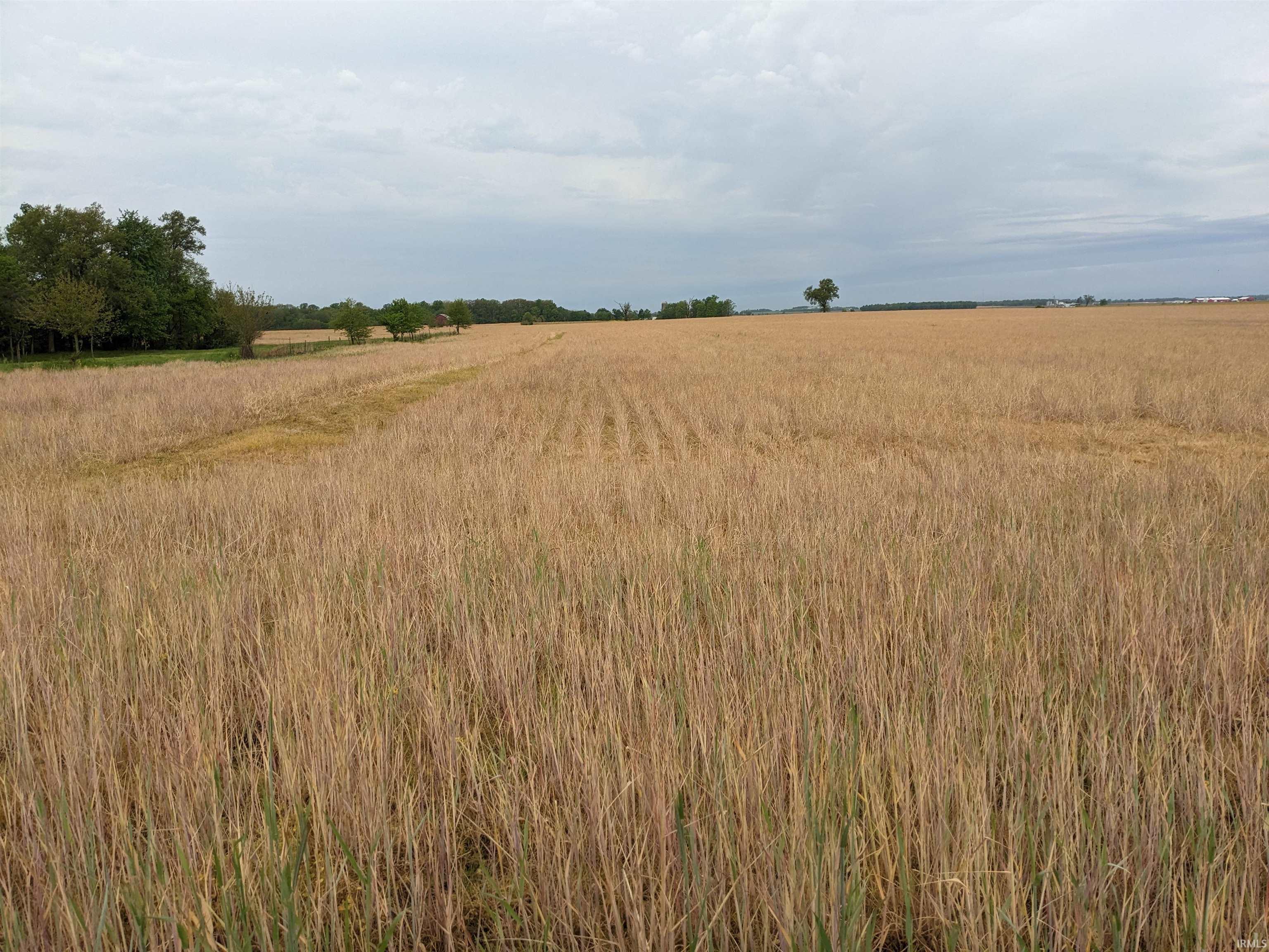 231 Us Highway Loogootee, IN 47553 - Photo 3 of 7