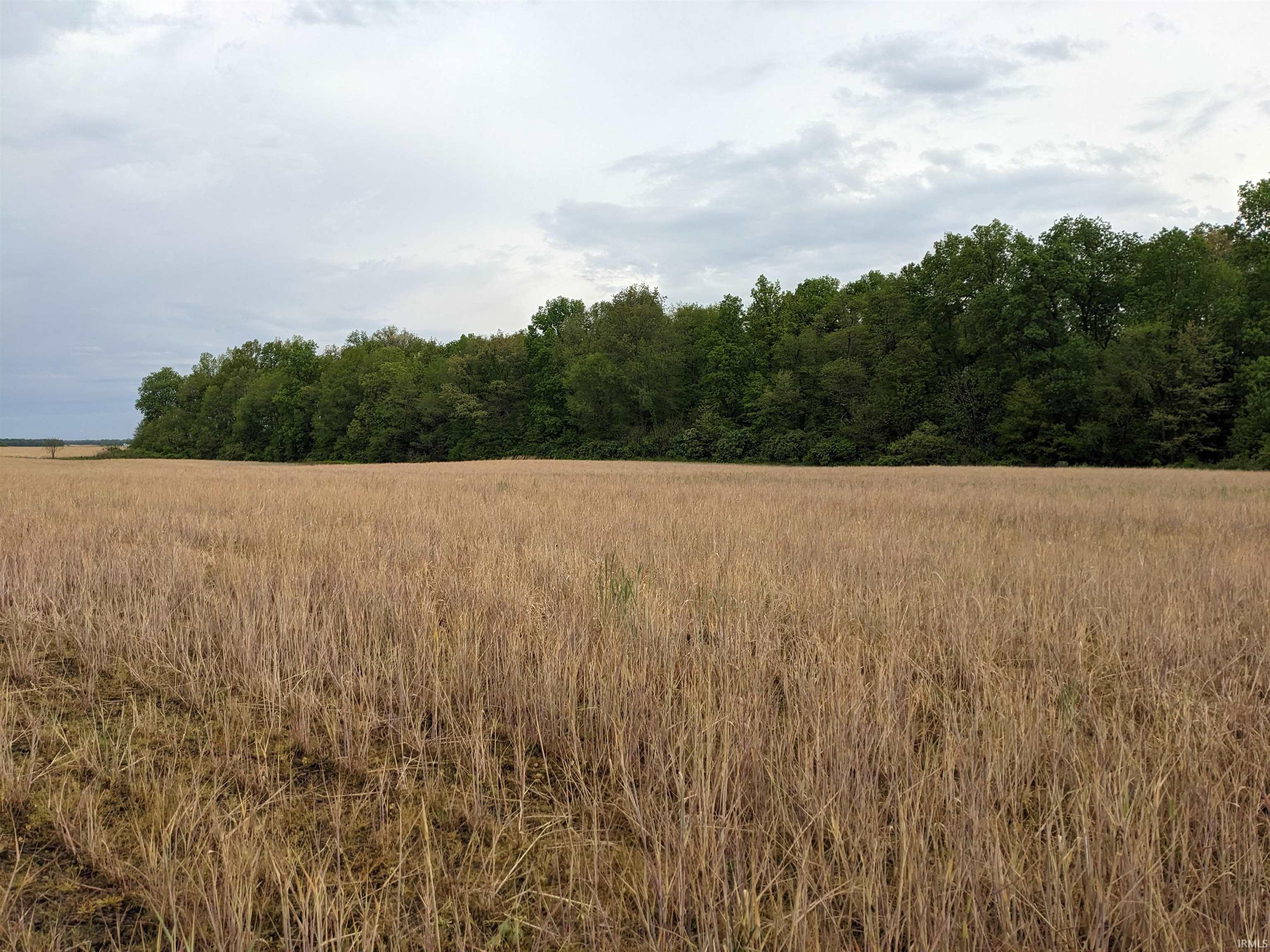 231 Us Highway Loogootee, IN 47553 - Photo 4 of 7