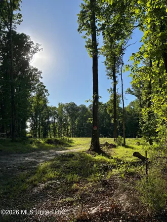 $159,500 | 229 Barnes Road, Florence, MS 39073