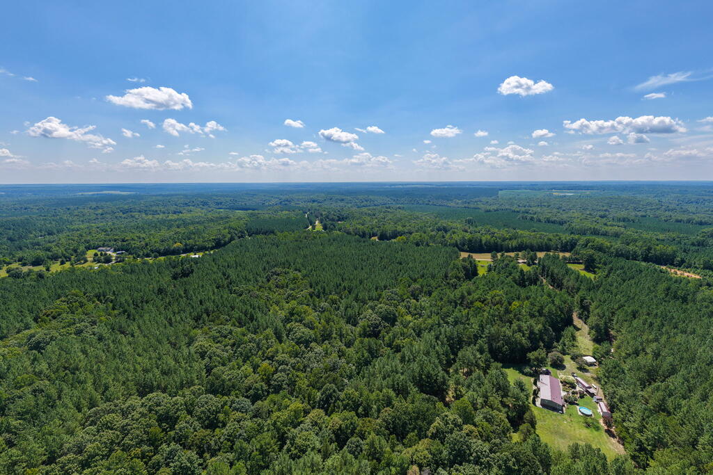 Davis Lowground Road, Unit 9 Keysville, VA 23947 - Photo 8 of 17 Gallery Image 8