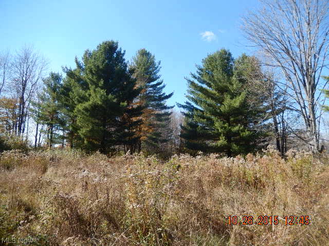 2372 State Rte 534 Geneva, OH 44041 - Photo 19 of 25 Gallery Image 19